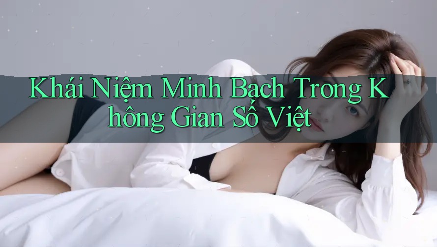 Khái Niệm Minh Bạch Trong Không Gian Số Việt